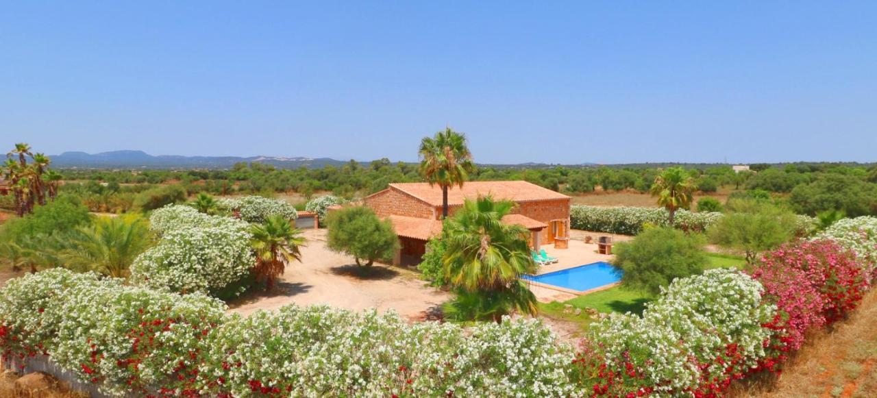 Sa Vinya Vila Campos  Exterior foto